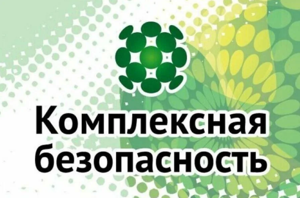 Комплексная безопасность Комплексная безопасность.